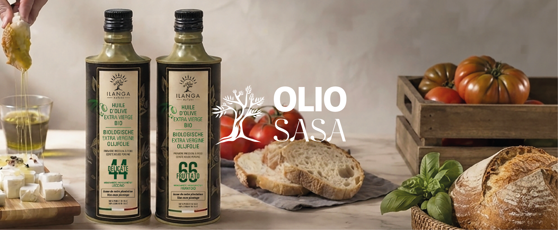 Projet Olio Sasa