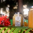 Miel de Litchi
