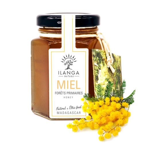Miel de forêts primaires